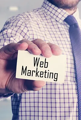 Web marketing expert